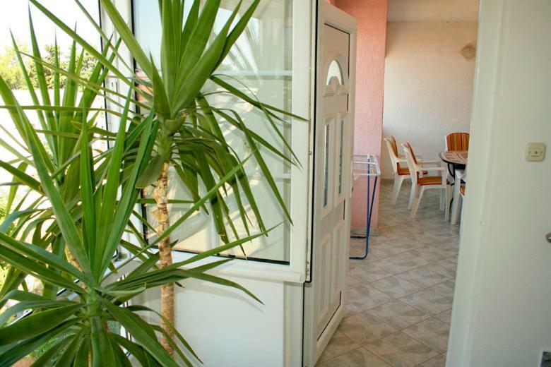 Apartments Mirjana - Stara Novalja Zewnętrze zdjęcie