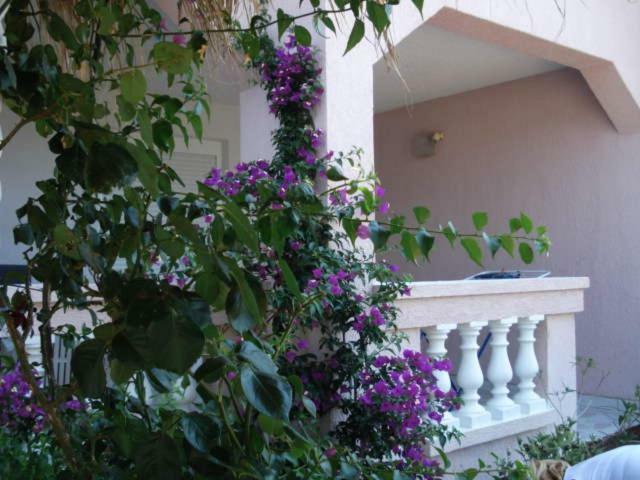 Apartments Mirjana - Stara Novalja Zewnętrze zdjęcie